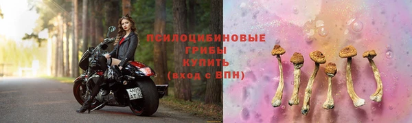 СК Алексеевка