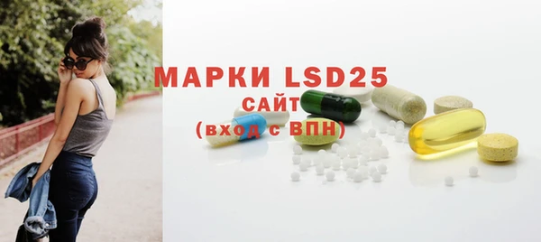стафф Новозыбков
