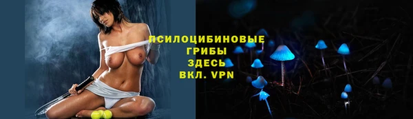 гидра Алексин
