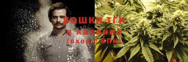 гидра Алексин