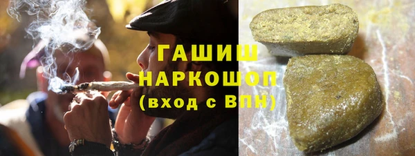 стафф Новозыбков