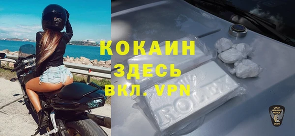 гидра Алексин