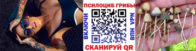 как найти Беслан Псилоцибиновые грибы GOLDEN TEACHER