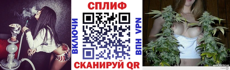 Бошки Шишки семена  сколько стоит  Беслан 